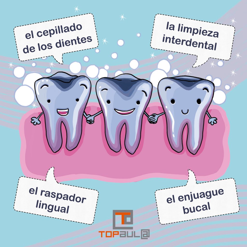 Infografía ¿Cómo realizar una correcta higiene dental? - www.topaulasalud.com