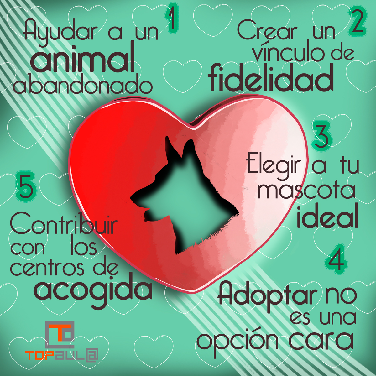 Infografia 5 motivos para adoptar a una mascota - www.topaula.com