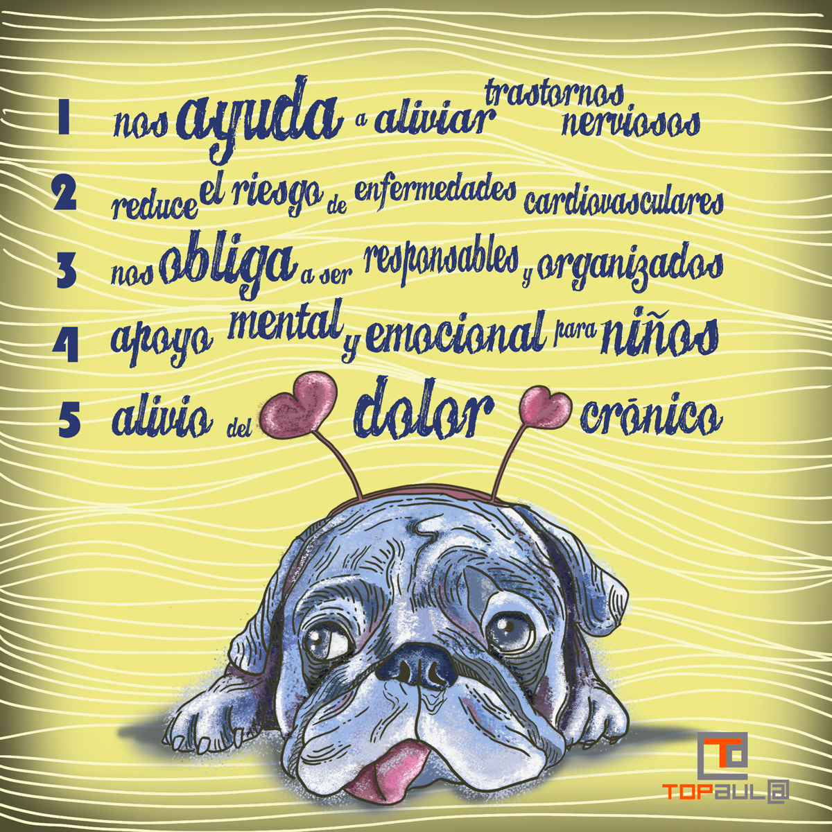 Infografía ¿Qué beneficios nos aporta nuestra mascota para la salud? - www.topaula.com