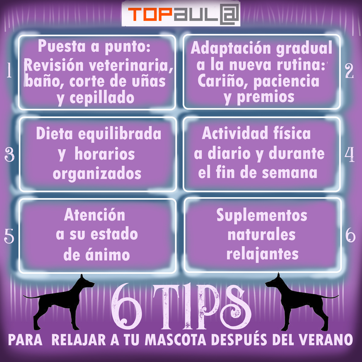 Infografia 6 tips para relajar a tu mascota después del verano - www.topaula.com