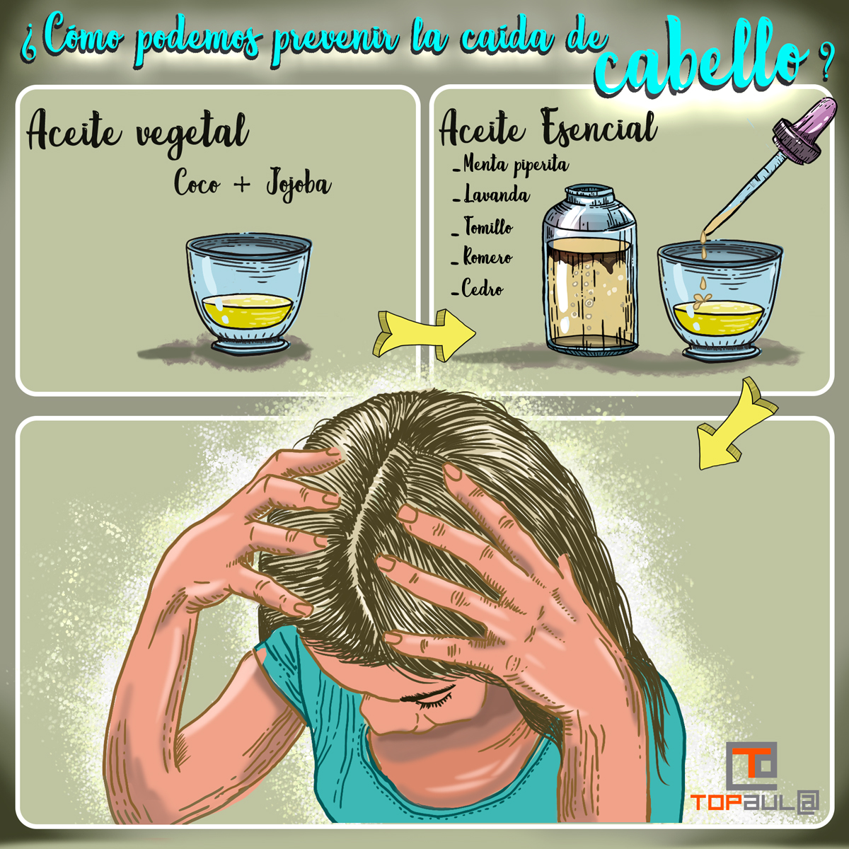 Infografía ¿Cómo podemos prevenir la caída de cabello? - www.topaula.com