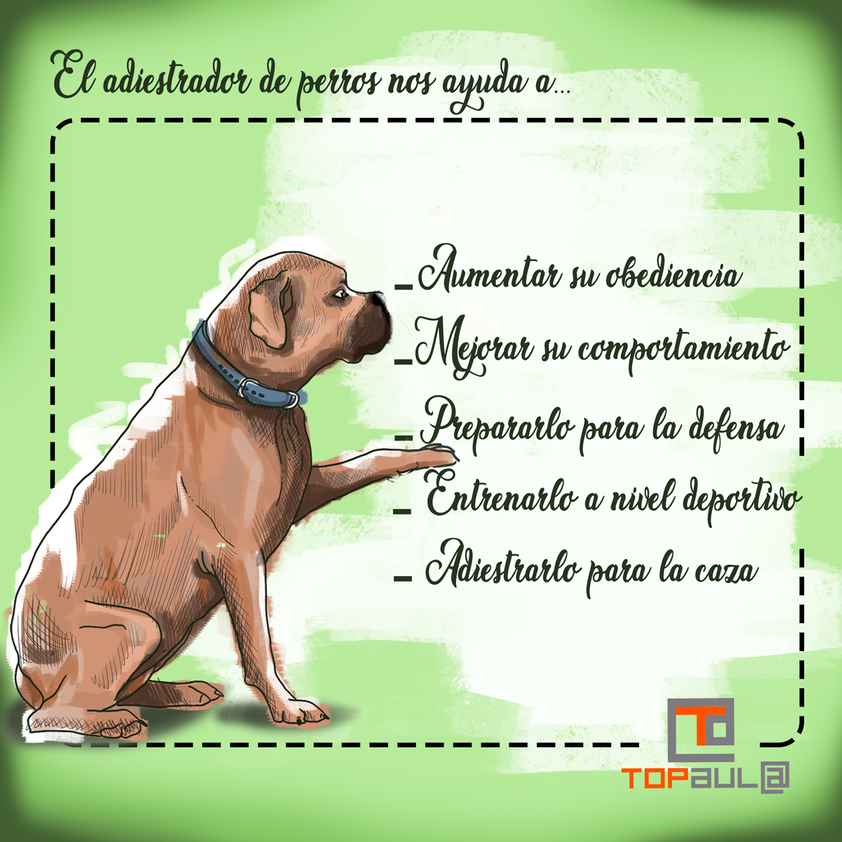 Infografía ¿Debería contratar los servicios de un adiestrador para mi perro? - www.topaula.com